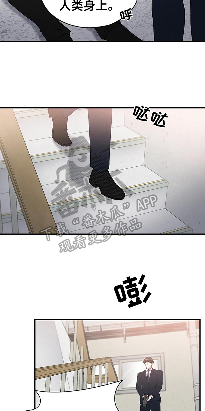 《安全区》第10章救出 第3页
