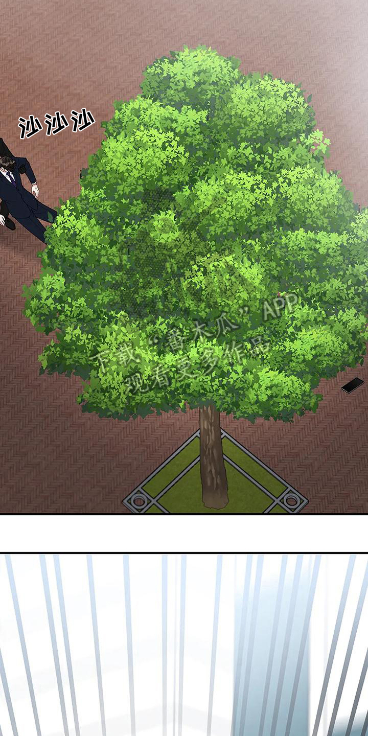 《安全区》第6章出事 第19页