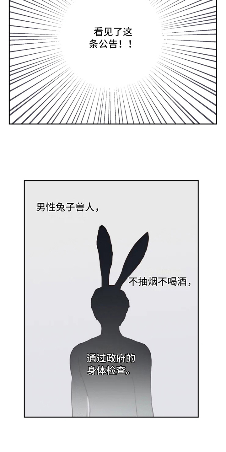 《龟兔同行》第2章到达 第12页