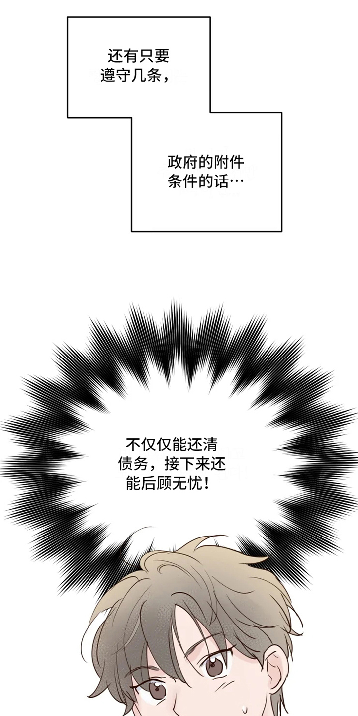 《龟兔同行》第2章到达 第13页