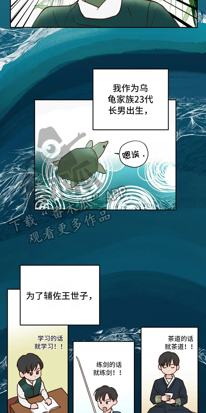 《龟兔同行》第6章混乱 第2页