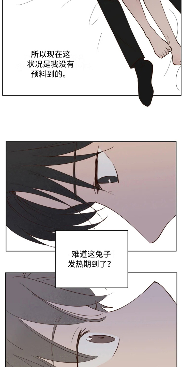 《龟兔同行》第7章不情愿 第8页