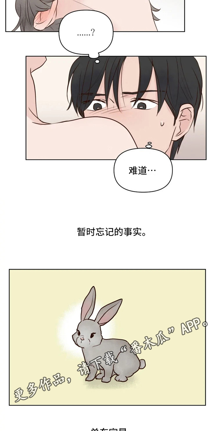 《龟兔同行》第9章忘记 第16页