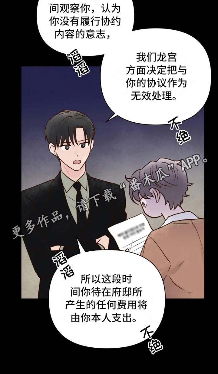 《龟兔同行》第12章躲避 第16页