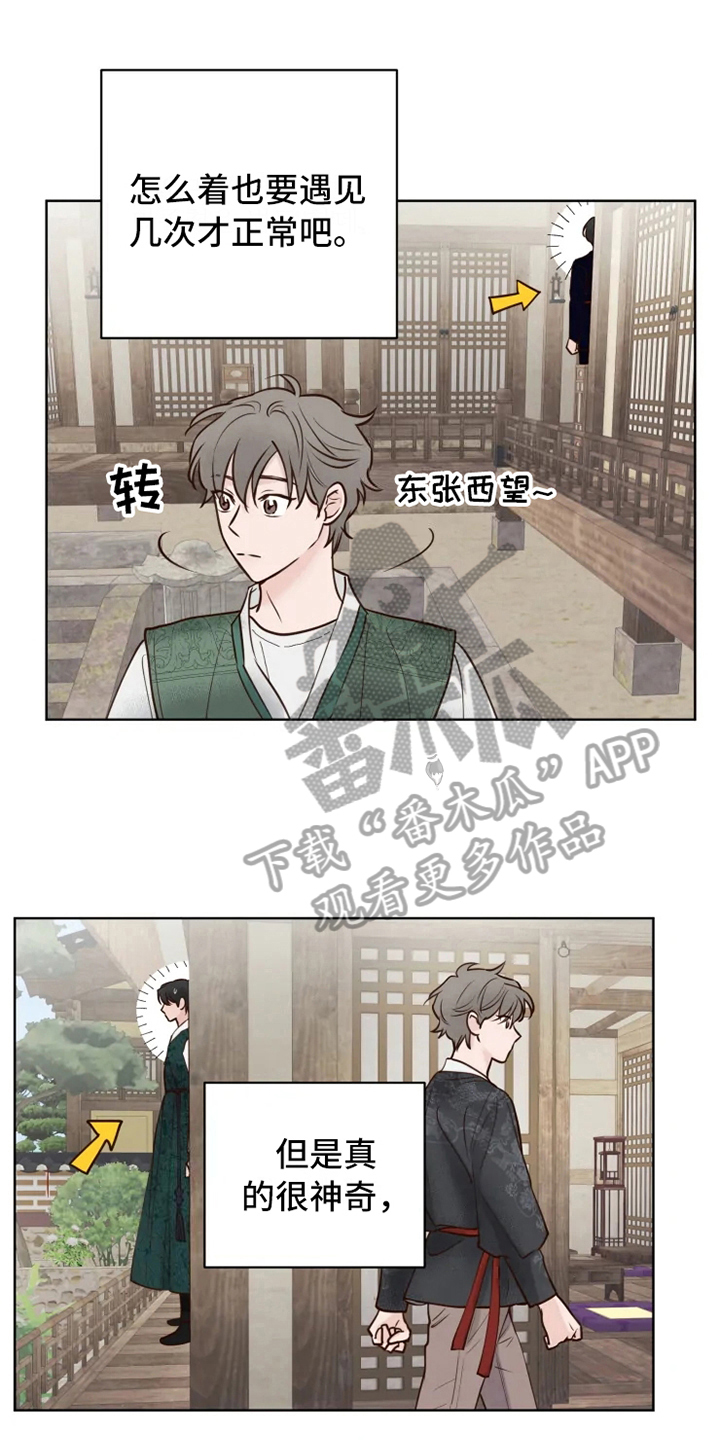 《龟兔同行》第12章躲避 第1页