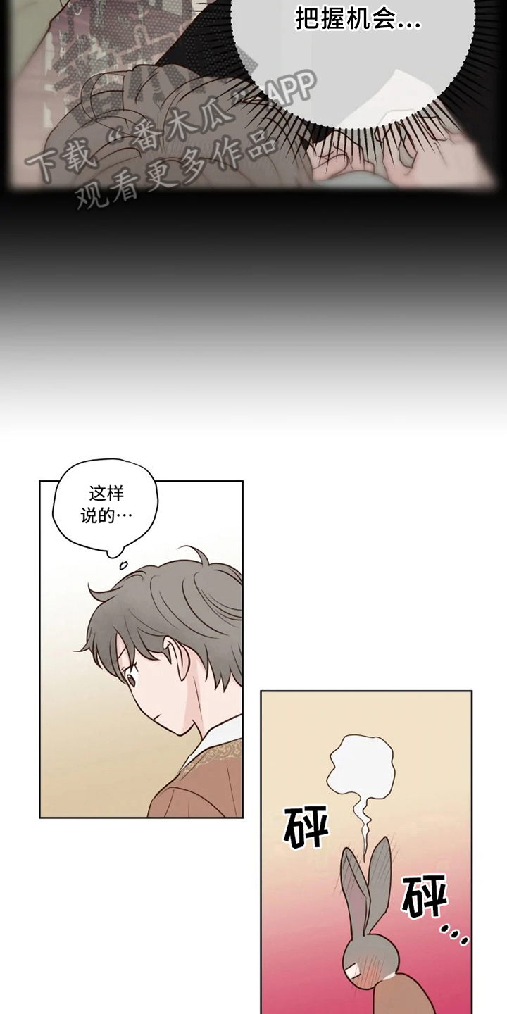 《龟兔同行》第12章躲避 第5页