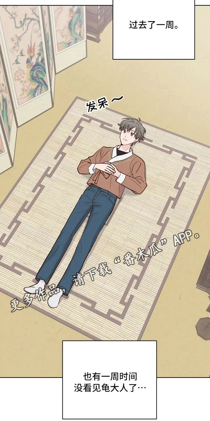 《龟兔同行》第11章决心 第18页