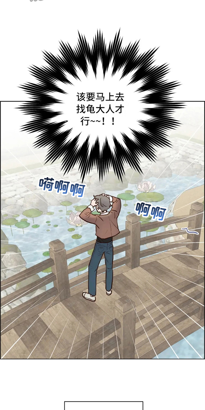《龟兔同行》第13章焦急 第5页