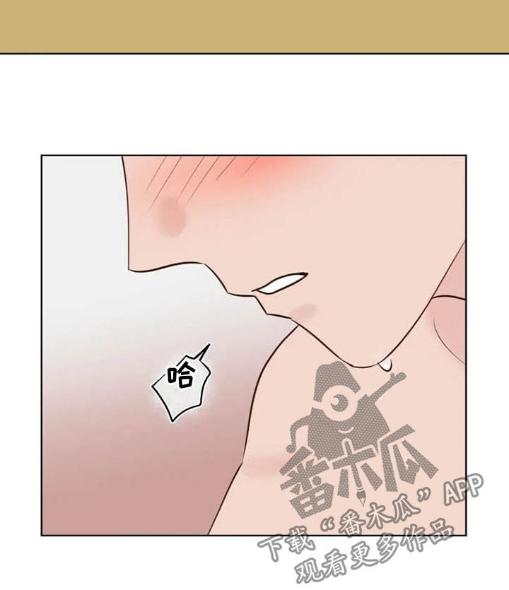 《龟兔同行》第18章特别大使 第15页