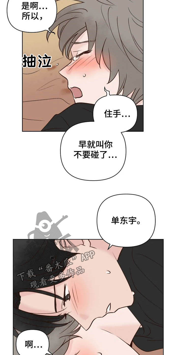 《龟兔同行》第18章特别大使 第17页