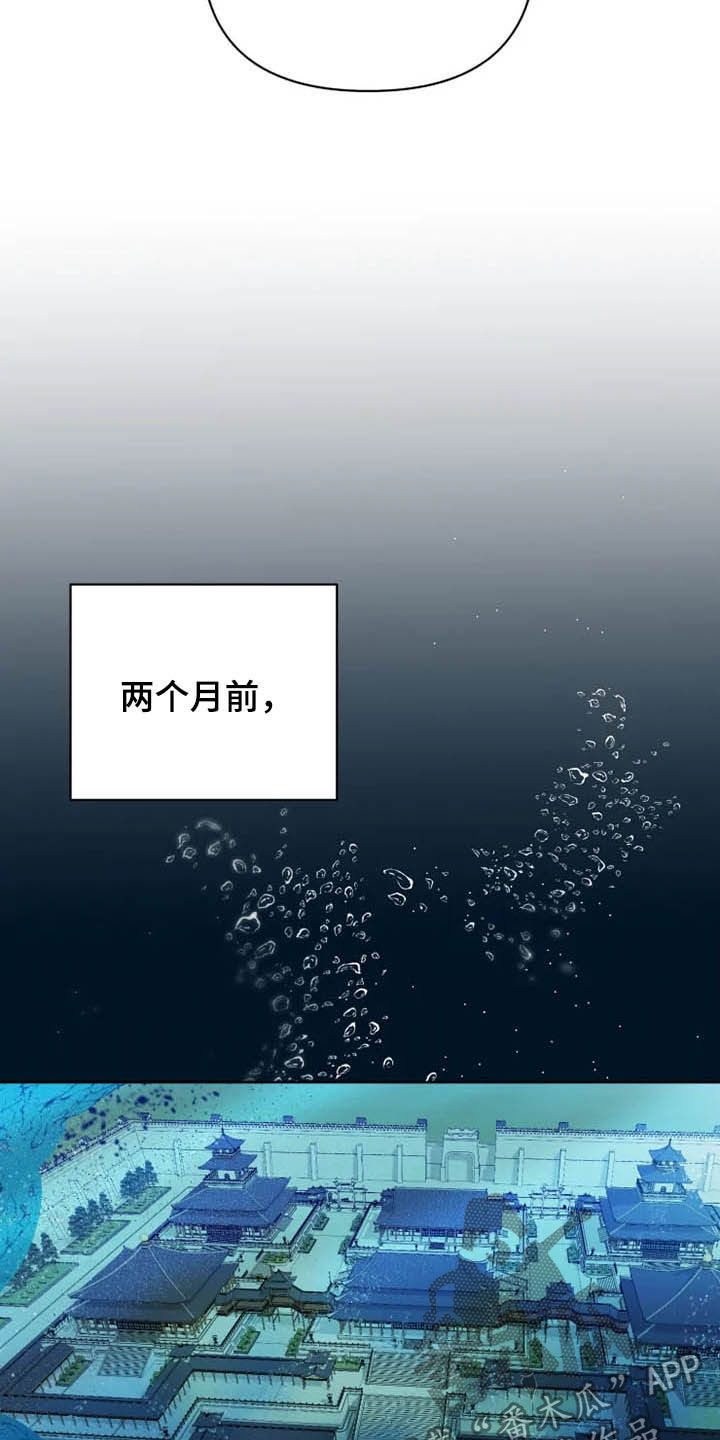 《龟兔同行》第18章特别大使 第19页