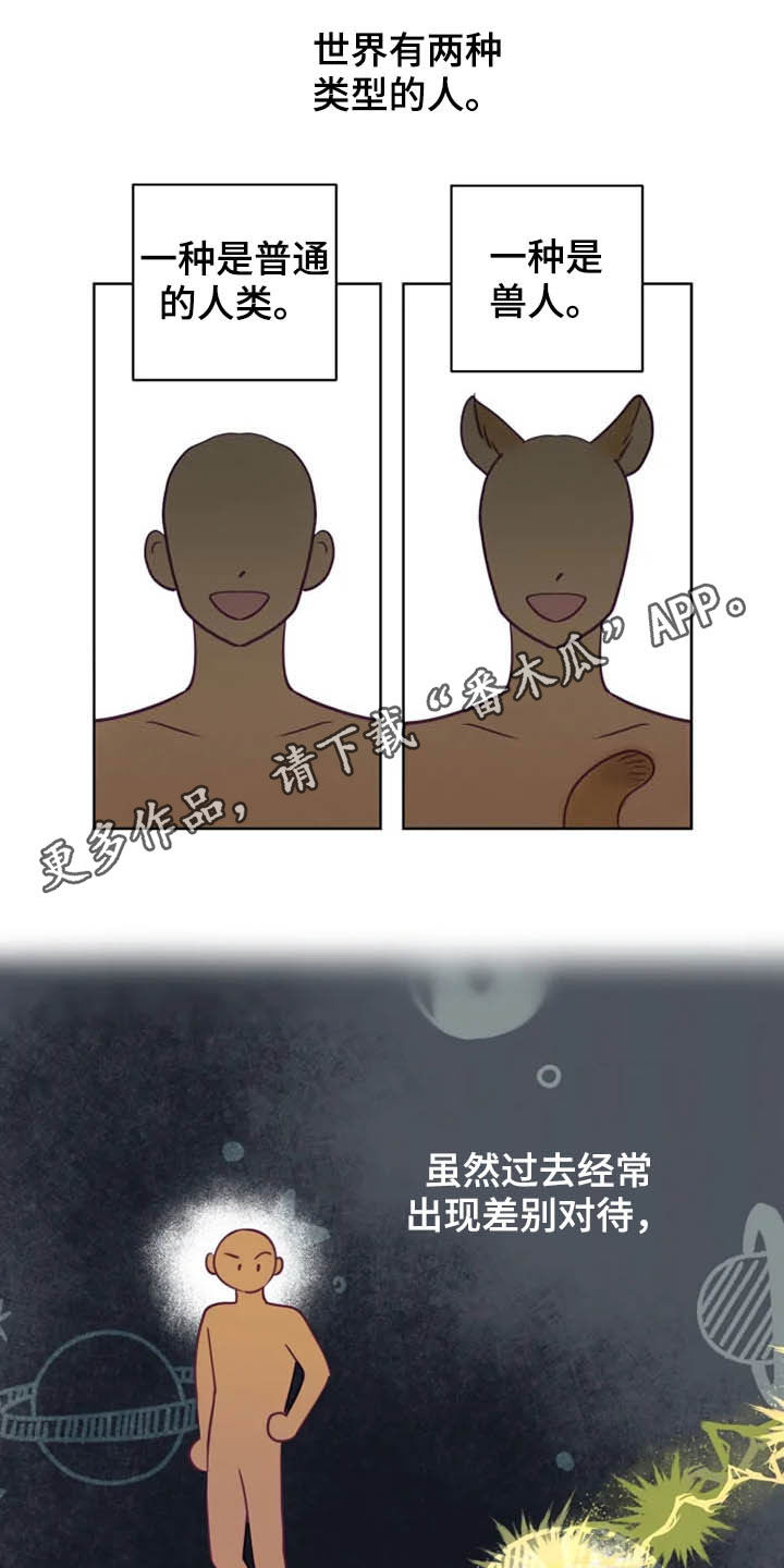《龟兔同行》第18章特别大使 第1页