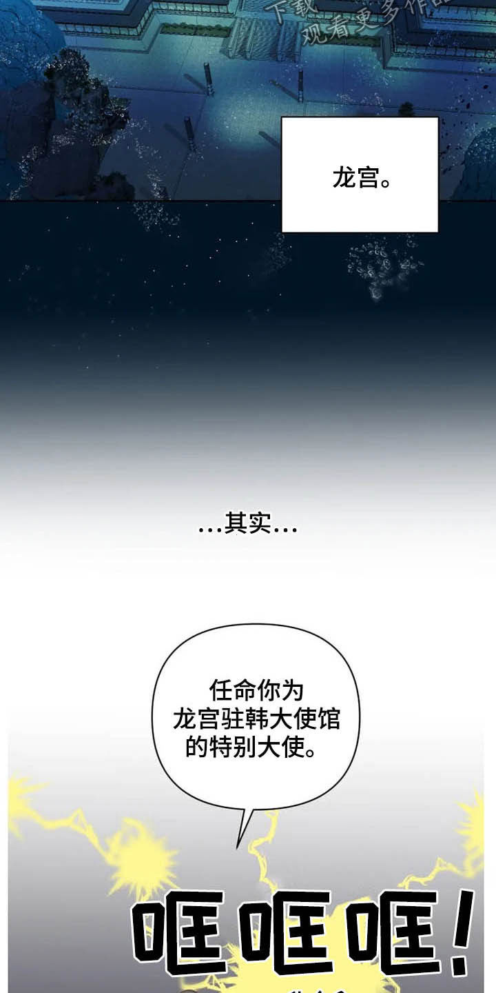 《龟兔同行》第18章特别大使 第20页