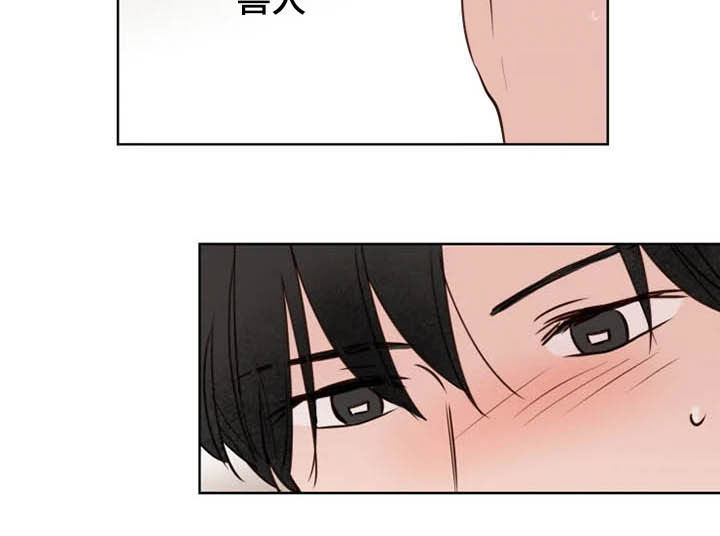 《龟兔同行》第18章特别大使 第6页