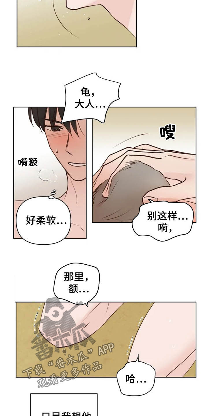 《龟兔同行》第18章特别大使 第8页