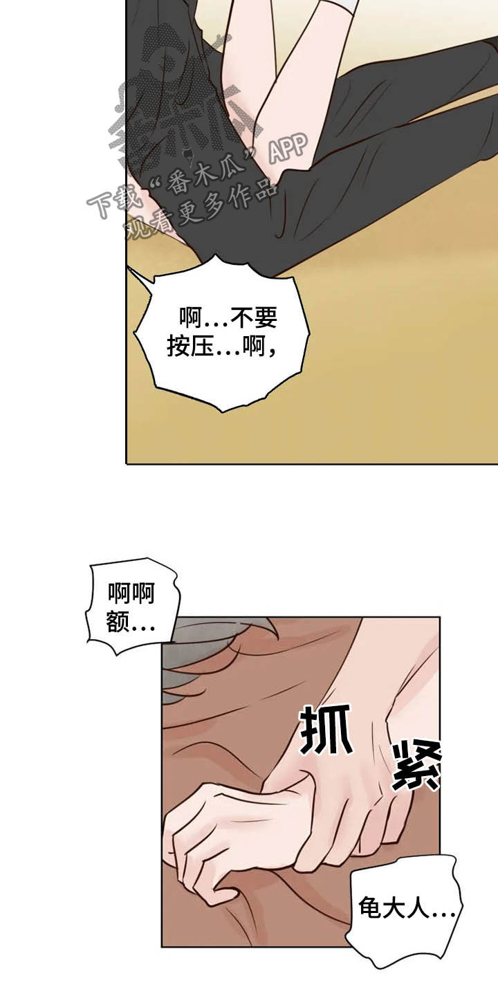 《龟兔同行》第19章任重道远 第14页