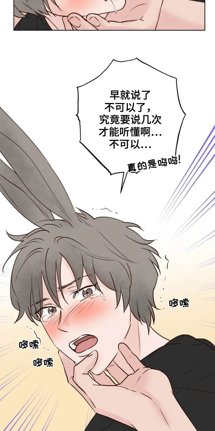《龟兔同行》第19章任重道远 第18页