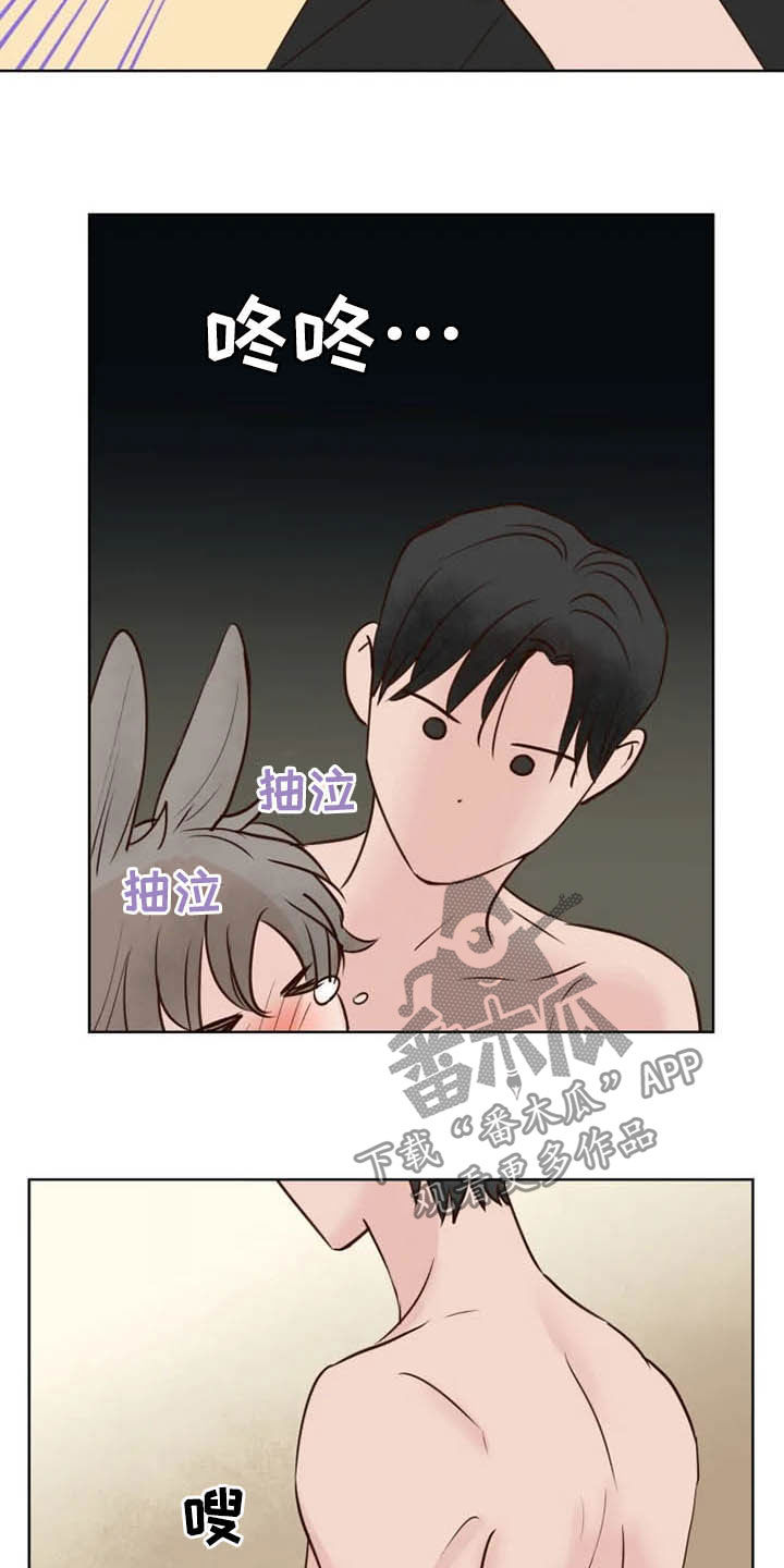 《龟兔同行》第19章任重道远 第19页