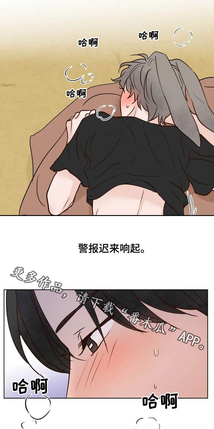 《龟兔同行》第19章任重道远 第23页