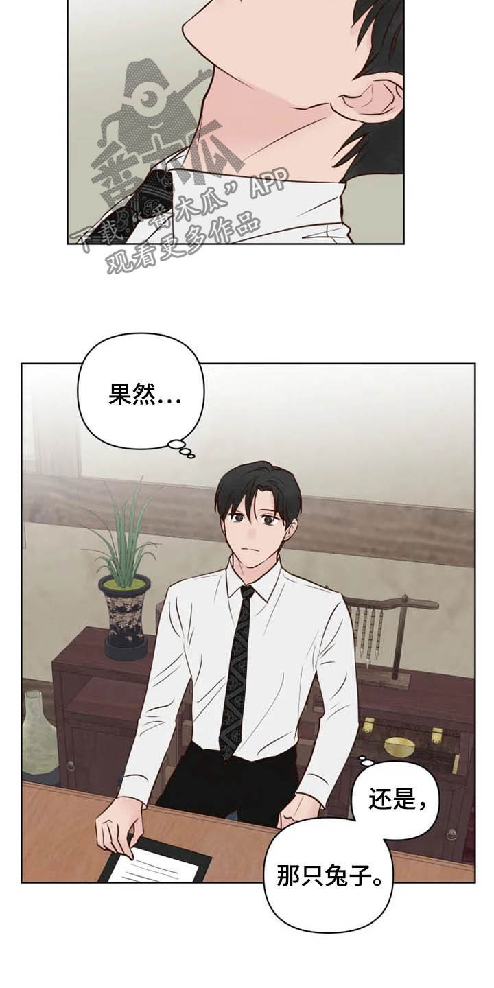 《龟兔同行》第20章等待时机 第19页