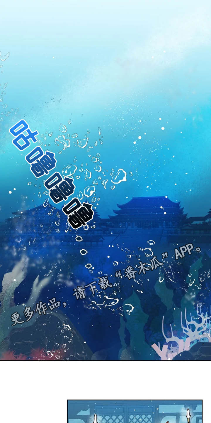 《龟兔同行》第20章等待时机 第1页