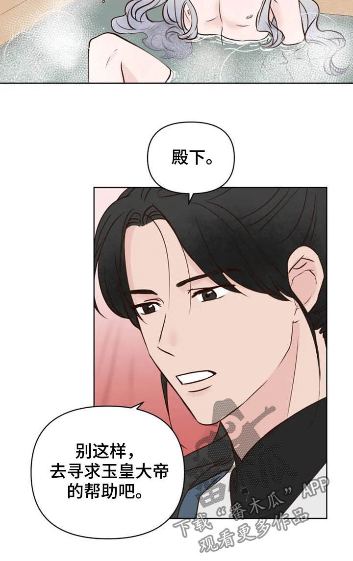 《龟兔同行》第20章等待时机 第5页
