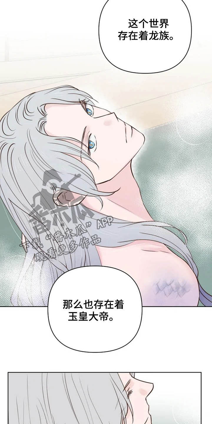 《龟兔同行》第20章等待时机 第7页