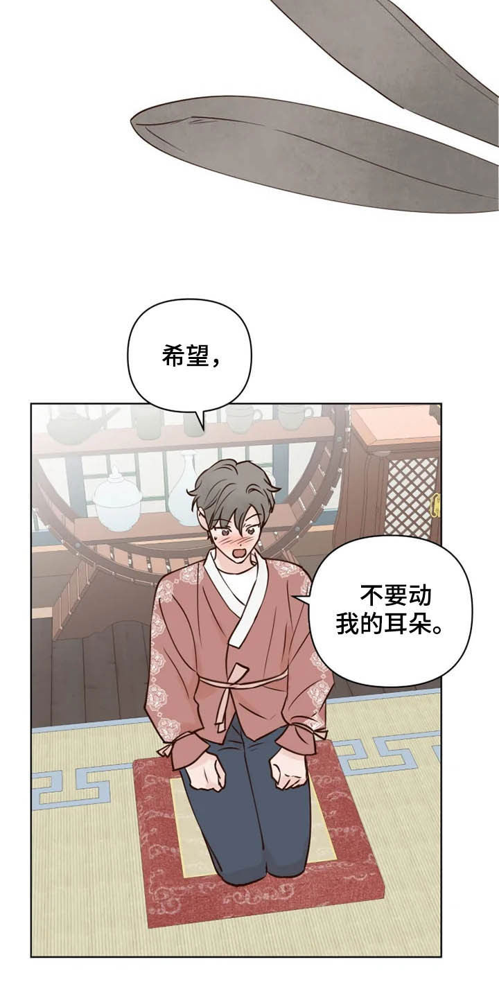 《龟兔同行》第21章尽全力 第14页
