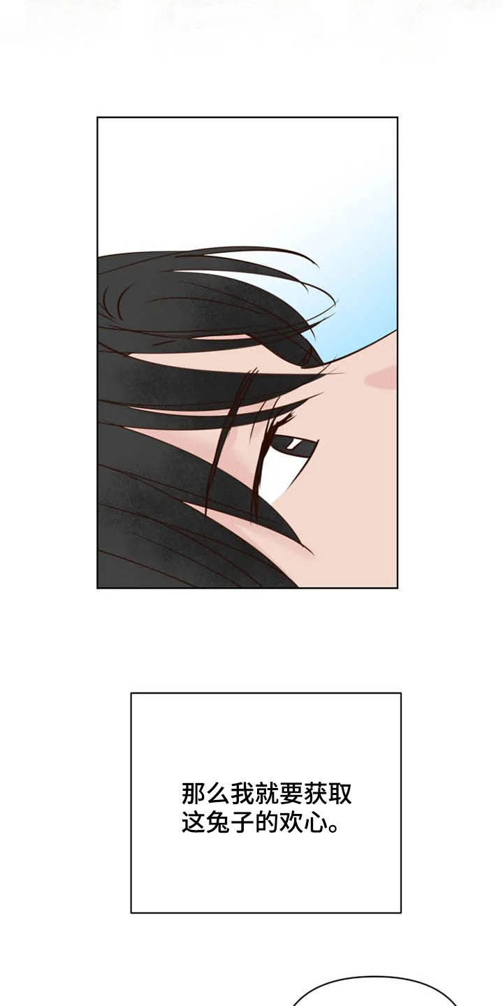 《龟兔同行》第21章尽全力 第21页