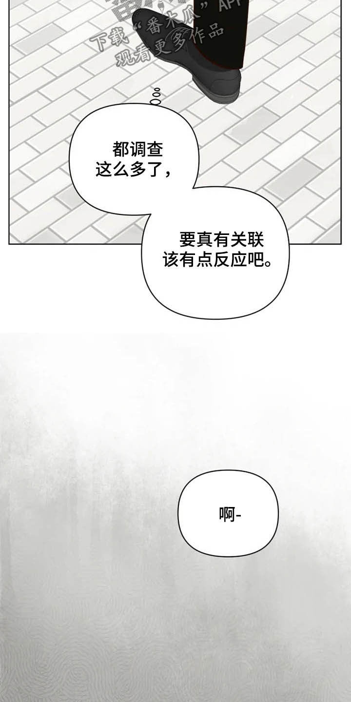 《龟兔同行》第23章调查 第18页