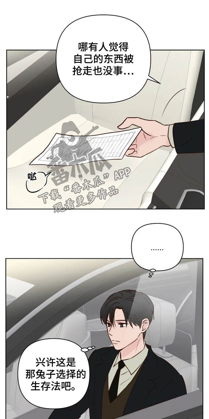 《龟兔同行》第23章调查 第5页