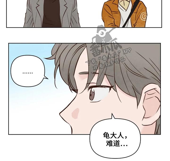 《龟兔同行》第27章公园 第16页