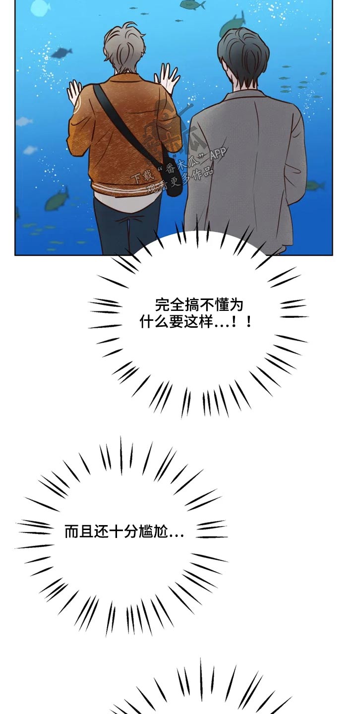 《龟兔同行》第27章公园 第2页