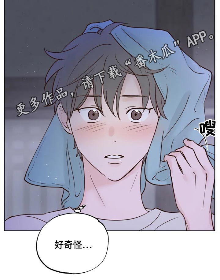 《龟兔同行》第29章煎饼 第17页