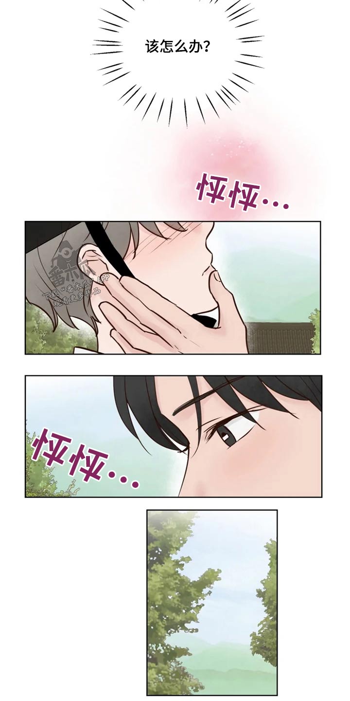 《龟兔同行》第31章怎么办 第11页