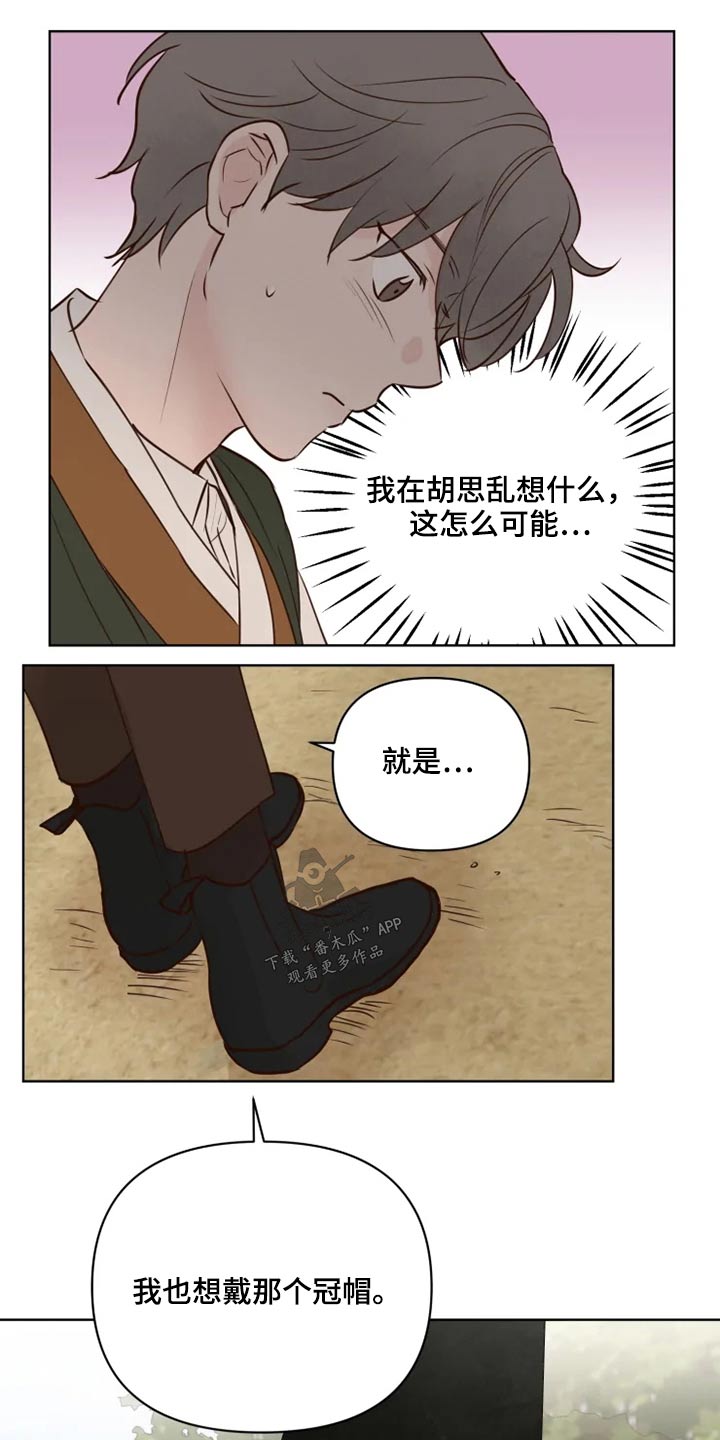 《龟兔同行》第31章怎么办 第3页