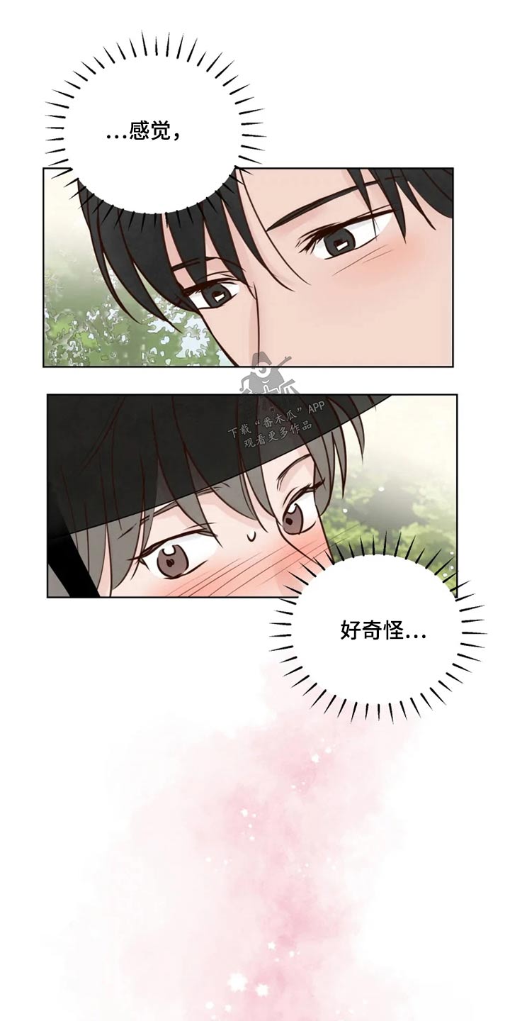 《龟兔同行》第31章怎么办 第8页