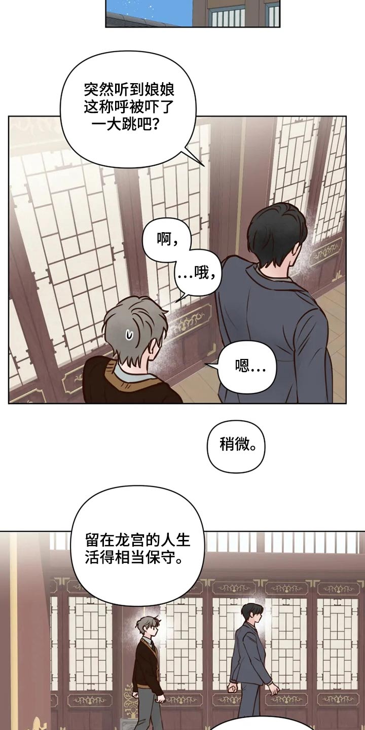 《龟兔同行》第36章到访 第11页