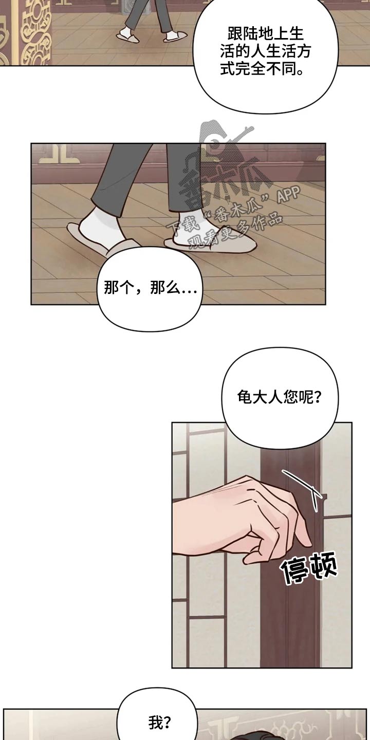 《龟兔同行》第36章到访 第12页