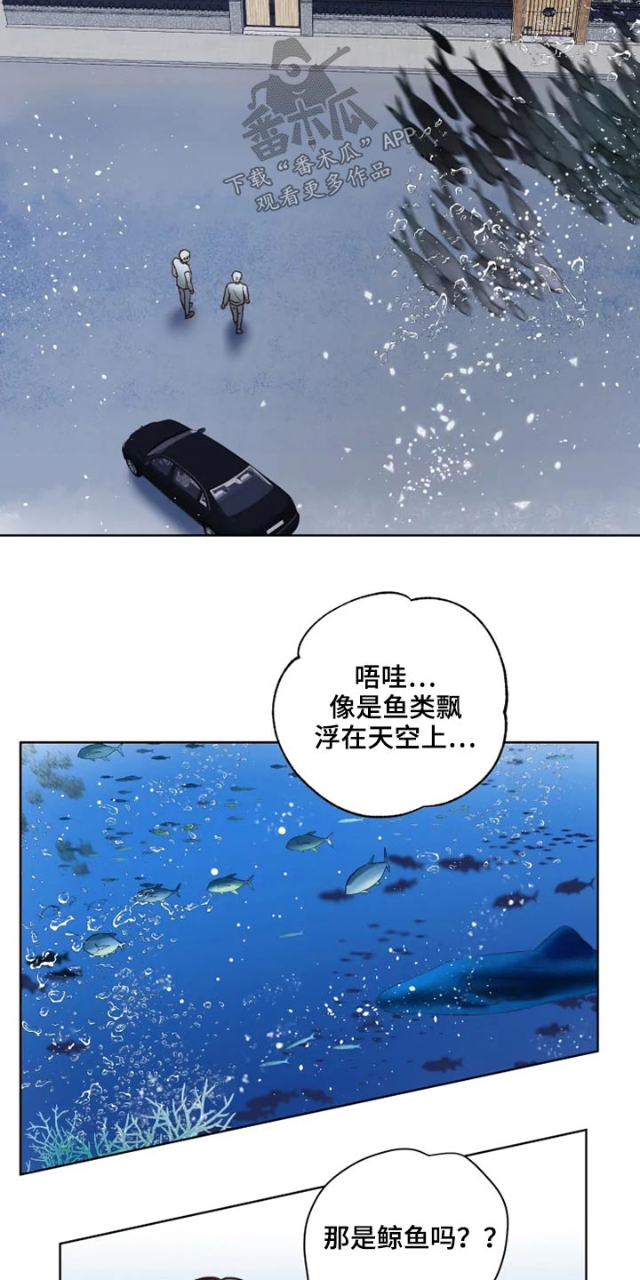 《龟兔同行》第34章龙宫 第19页