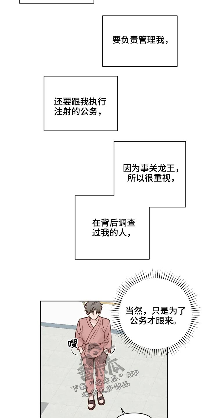 《龟兔同行》第35章检测 第10页