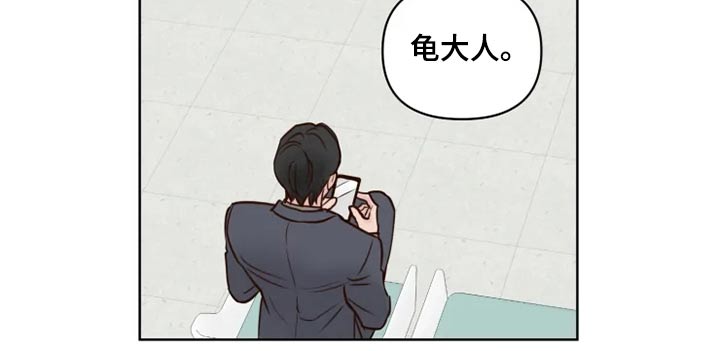 《龟兔同行》第35章检测 第11页