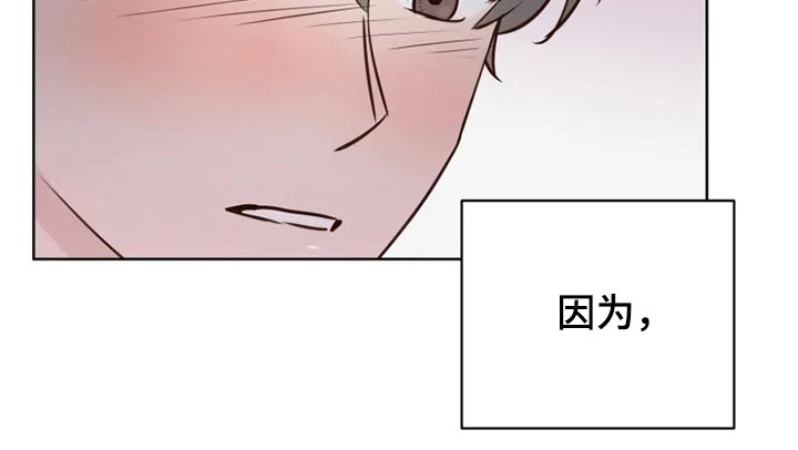 《龟兔同行》第35章检测 第16页