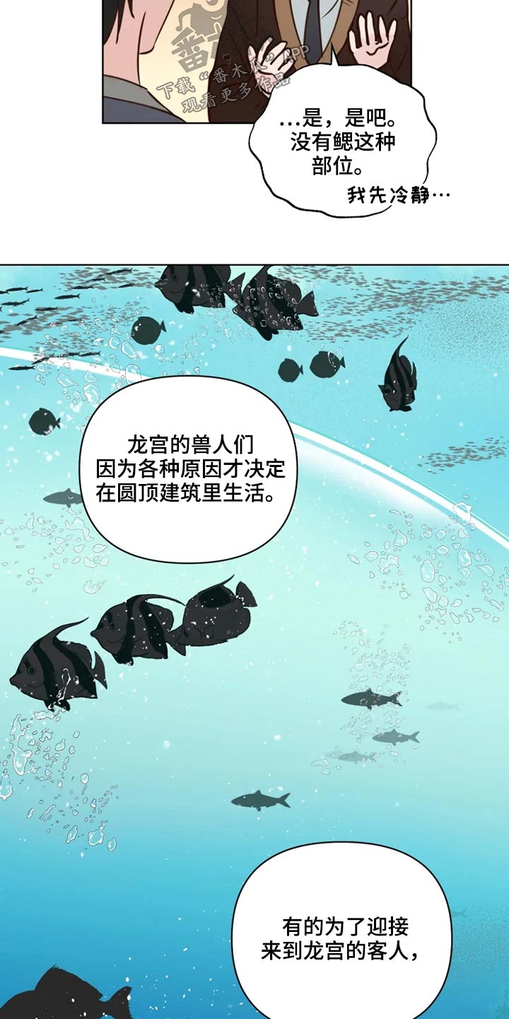《龟兔同行》第35章检测 第3页