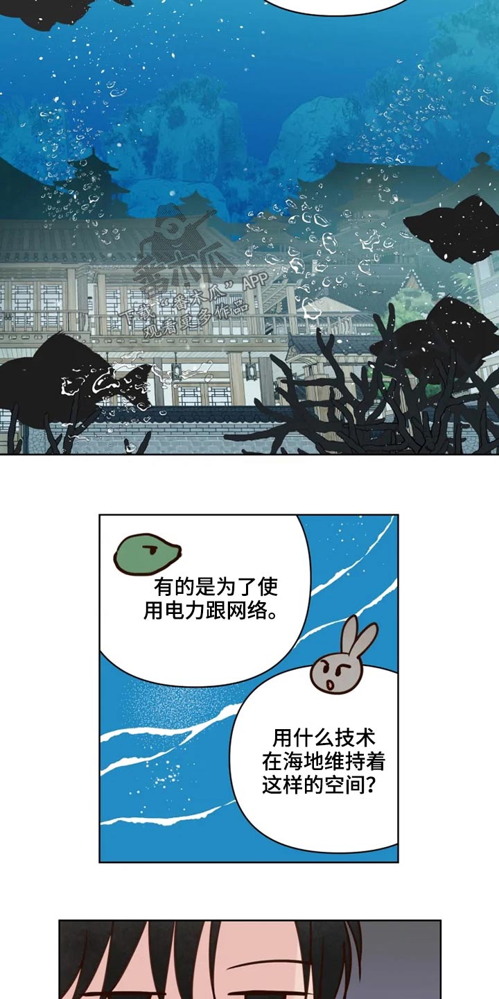 《龟兔同行》第35章检测 第4页