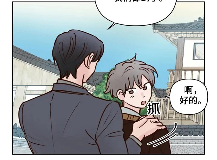 《龟兔同行》第35章检测 第6页