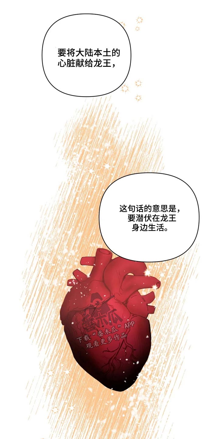 《龟兔同行》第39章协议书 第14页