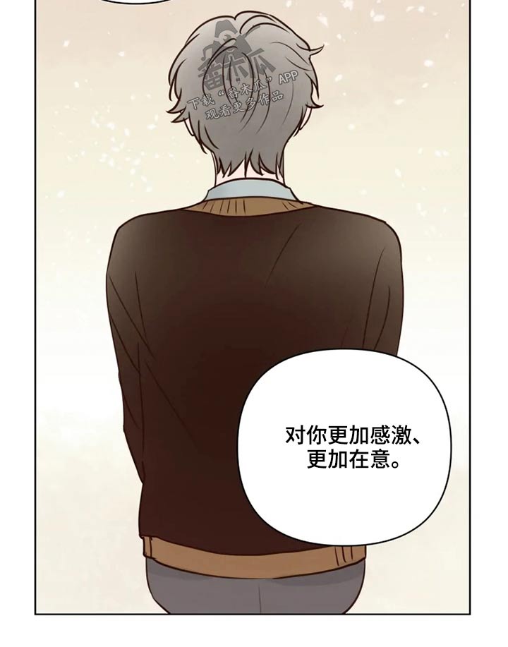 《龟兔同行》第37章不可以 第5页