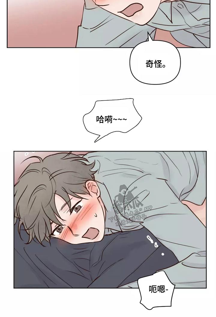 《龟兔同行》第42章愿意 第11页