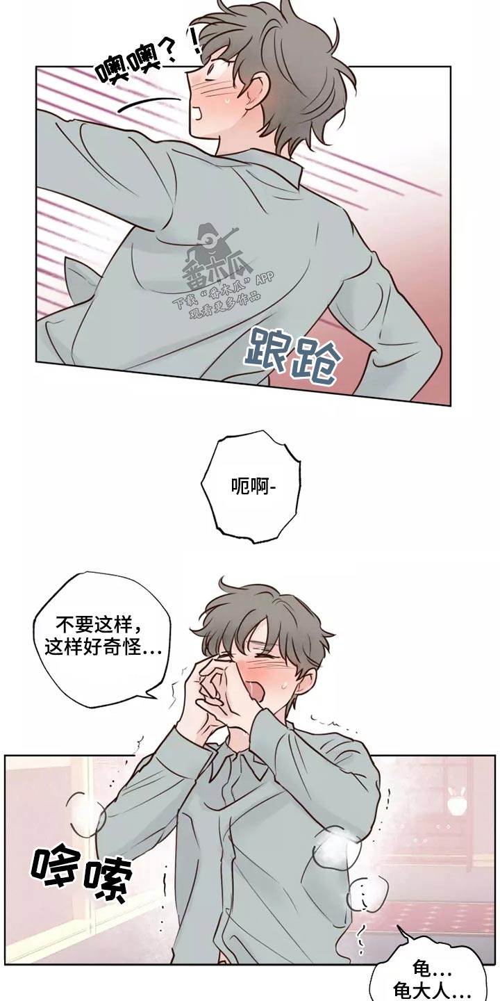 《龟兔同行》第42章愿意 第15页